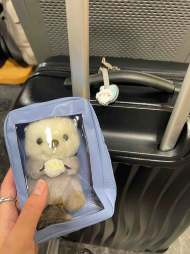 ぬい様とお出かけなくすとかのリスクで怯えて出来なかったんだけどひょんなことからしてみるよー、らっこたんとがんばる。ひっそりモモンガもいる꒰՞o̴̶̷̤ᾥo̴̶̷̤՞꒱