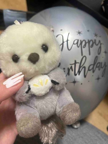 ちなみにこのラッコたんはりろろっていいます🦦≈みんなに覚えてもらえたら嬉しいね、りろろ🎶
これはお友達のお誕生日を一緒に祝った時の写真^ᴗ.ᴗ^♩