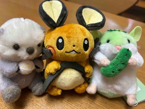 デデンネが来たよー賑やかだね