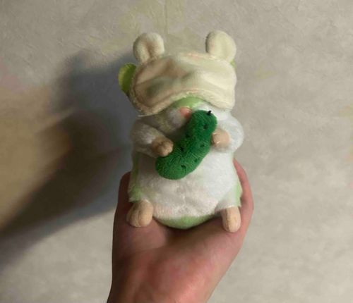 セリア様に安眠グッズがあったよ^ᴗ.ᴗ^♩
みなさまのぬいちゃん達にも似合いそうだね૮ .  ̫ . ა