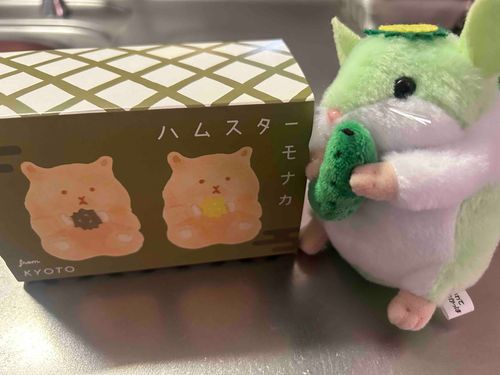 興味深くて買っちまった🥒🤍