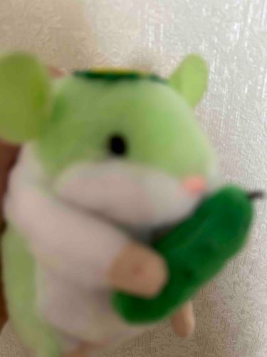 涼しいって幸せ꒰ᐢ⸝⸝⸝⸝ᐢ꒱