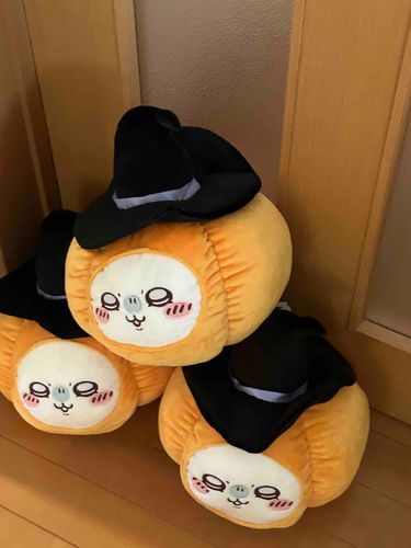 かぼちゃ大収穫祭🎃