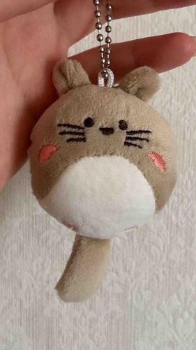 目が合ってしまったから連れ帰ってきた