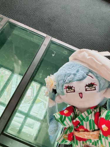 スカイツリーの上の方から見た地上なの！