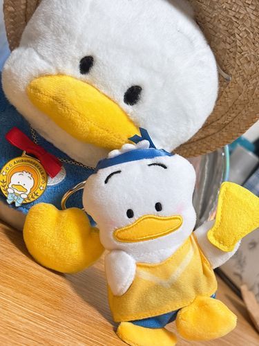 これはたまらんちちゃんの視界！
ちょと体調不良のときシュッ！とおうちに登場して応援してくれたキャラ大エールペックルちゃん嬉しいの！
