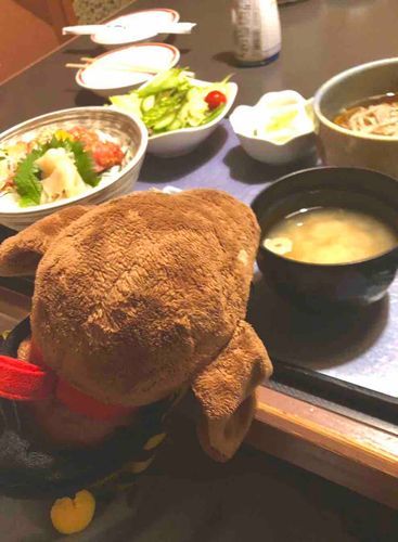 てんさいいぬはみそしるからいく
