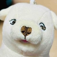 いぬ