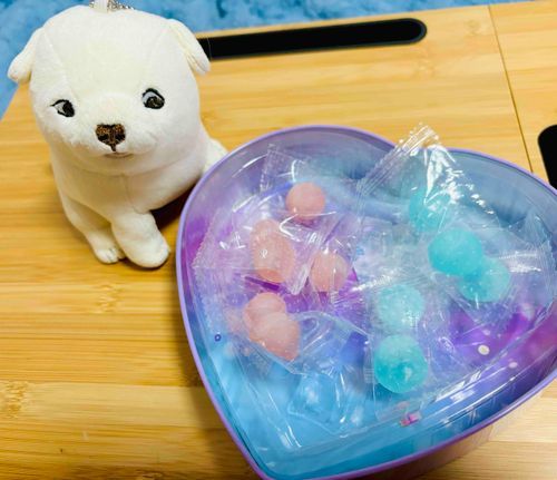 ボンボンを見つめるいぬ
