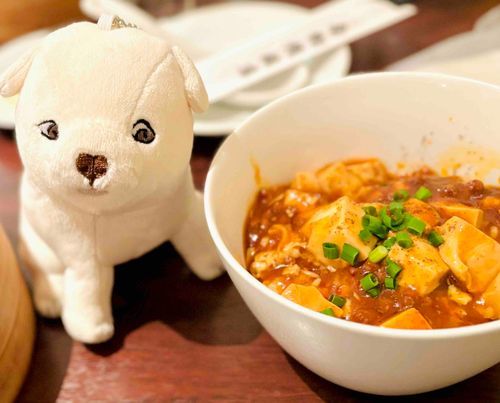 麻婆丼を見つめるいぬ