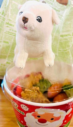 フライドチキン５つとフライドポテトとブロッコリーを見つめるいぬ