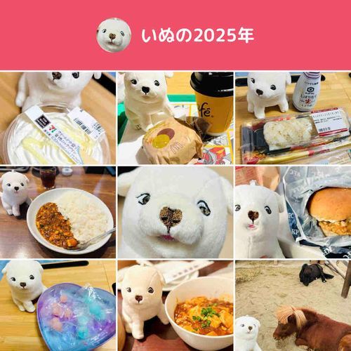 今年を見つめるいぬ