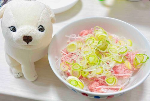 ネギたっぷりなねぎとろ丼を見つめるいぬ
