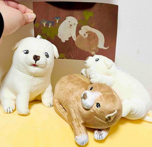 いぬたちを見つめるいぬ