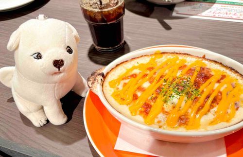 チーズドリアを見つめるいぬ