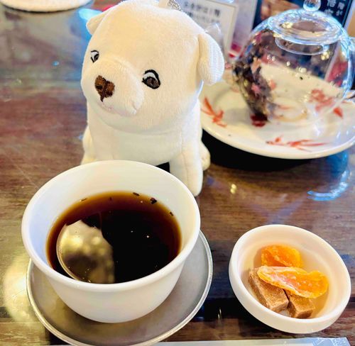 中国茶を見つめるいぬ