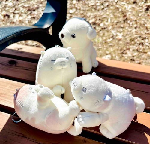 新入り3匹組を見つめるいぬ