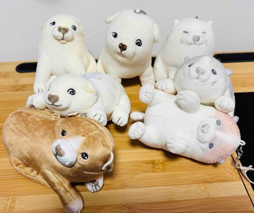 仲間と暮らすいぬ
