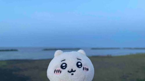 いろんなところ、一緒だよ