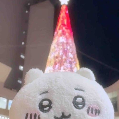 ツリーがぼうしになったよ