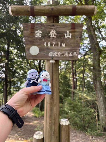 私達もお供で来てました😊
登りきったみたいですよ