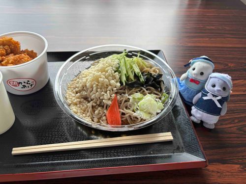 美味しいお蕎麦と唐揚げ
