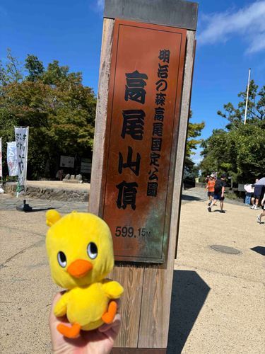 死にかけてたみたいですが、登頂したようです😅