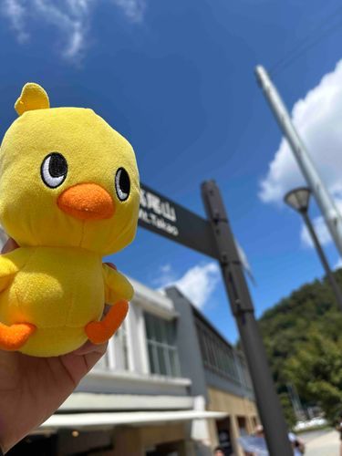👩が好きなこの前の高尾山の写真です
