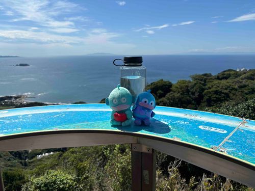 これが東京湾ですか