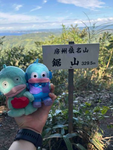 今回も登りきれて良かったですね