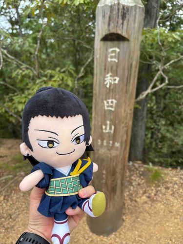 山頂に登りきったみたいです。
この後、足首捻って嘆きながら失意の途中下山してました。
コケやすいのをどうにかして欲しいものです。
