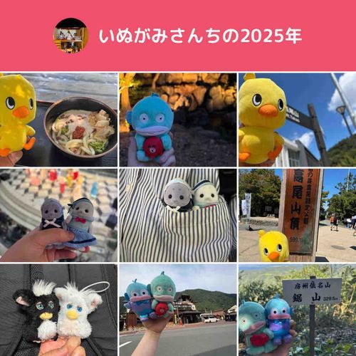 明けましておめでとうございます🙇‍♀️
今年もよろしくお願いします！！
今年は怪我なく過ごしてぬい達を色々なとこに連れて行きたいです。
あとぬい達と一緒にツーリングなんかもしたいですね😎