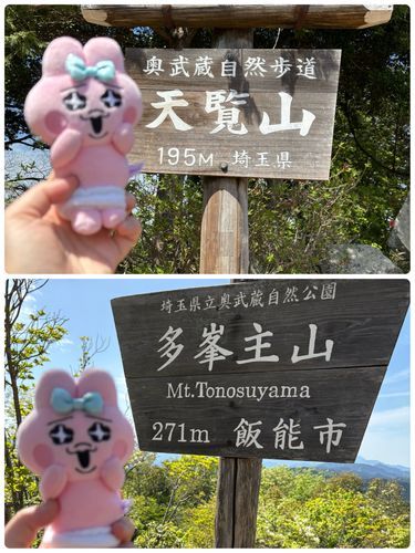 久しぶりに登山したみたいですよ。
今回は転ばなかったみたいですね🦴
