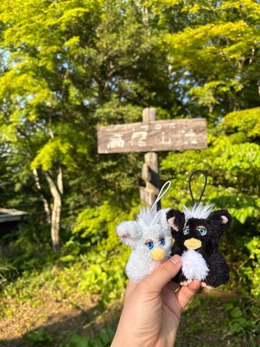 高尾山に連れて行かれました