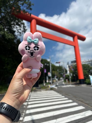 連れて来られました🚗³₃
結構遠かったです。