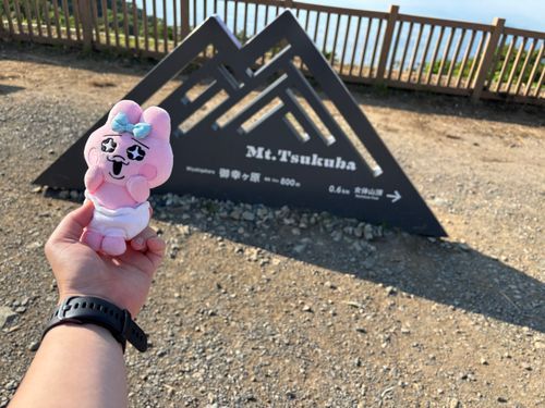 山頂までたどり着いたみたいですね。