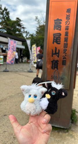 高尾山に登ったみたいです。