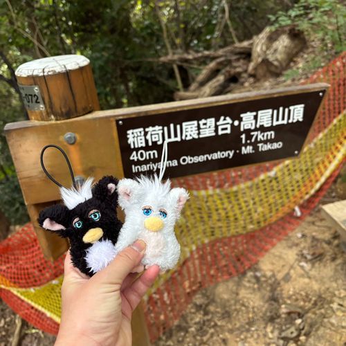 今回は違うコースで高尾山に行ったみたいです。

