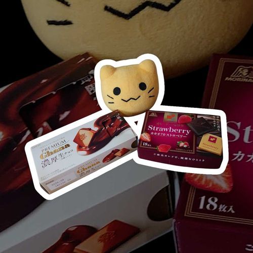 だいすきになったチョコ