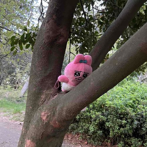 木登りしたでちゅ