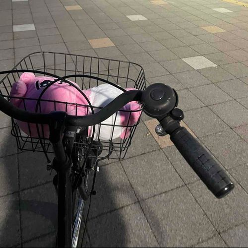 自転車に乗りまちた