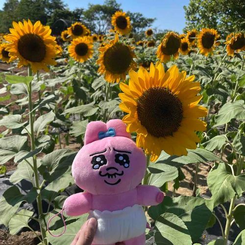 夏に戻ってほしいでちゅ