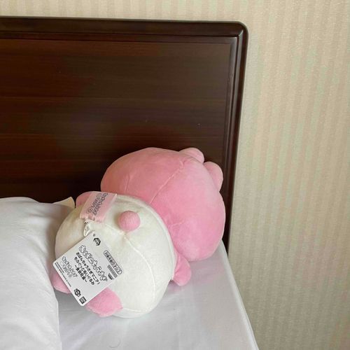 眠れなかったでちゅ