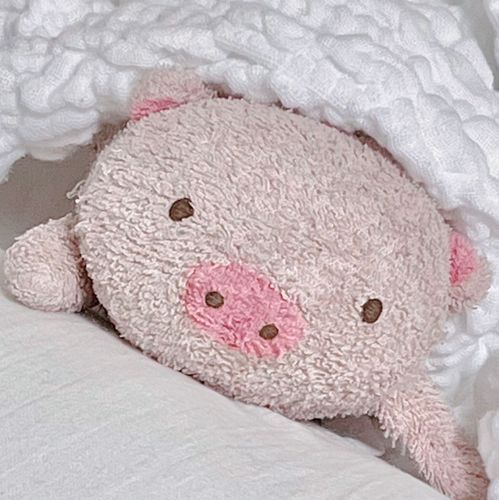 生まれた頃からずっと隣にいてくれた子
お泊まり保育も、入院したときも、ずっと一緒
命よりも大切な大切なぬいぐるみ
毎日いっしょに寝る
