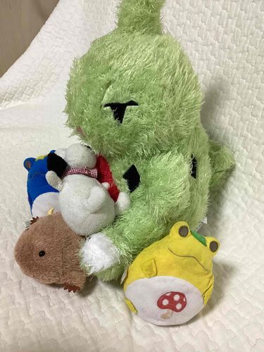 まとめられた
しっちゃかめっちゃか