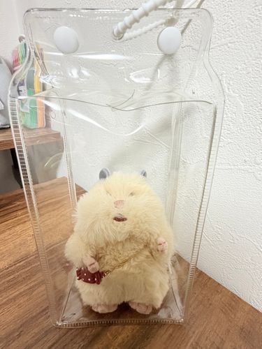 お出かけ専用ケース
思ってたより大きかったけど
これでどこでも一緒😉

