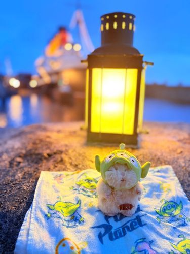 本日のベストショット📸