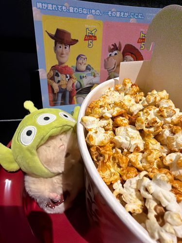 みてきたよ🍿