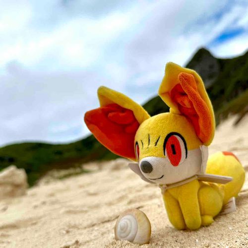 きつねのフォッコだよ！