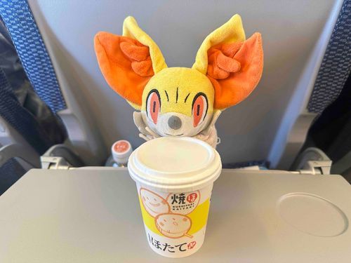 ふしぎな、あじだったよ…！